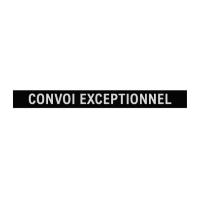 JEU DE 2 LAMELLES CONVOI EXCEPTIONNEL POUR RAMPE SANS FIL TECHNI-POWER JEU DE 2 LAMELLES CONVOI EXCEPTIONNEL POUR RAMPE SANS FIL TECHNI-POWER