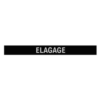 JEU DE 2 LAMELLES ELAGAGE POUR RAMPE SANS FIL TECHNI-POWER JEU DE 2 LAMELLES ELAGAGE POUR RAMPE SANS FIL TECHNI-POWER