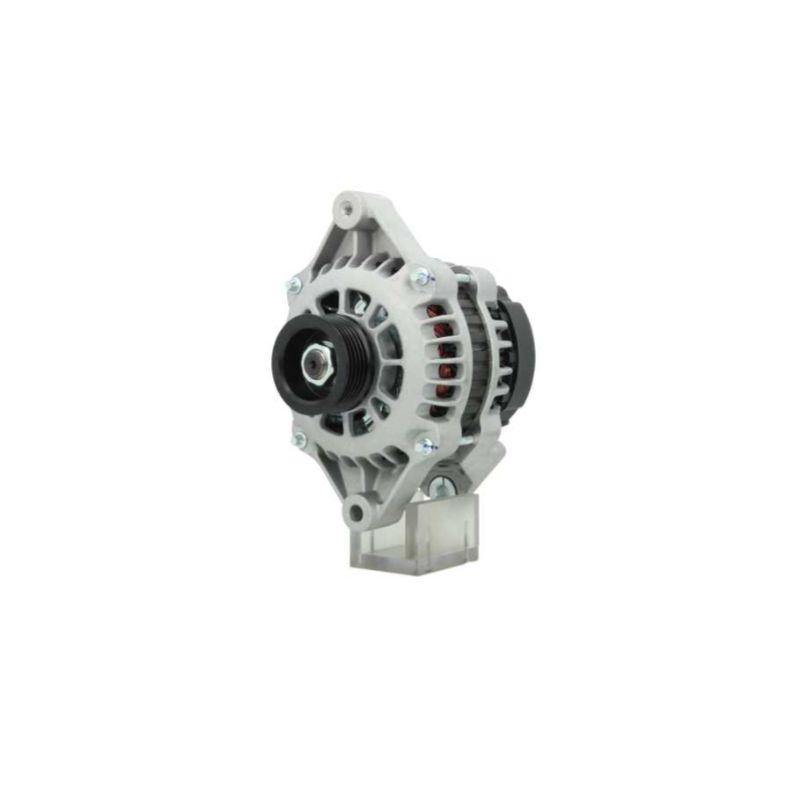 Alternateur Opel 12 volts 100 ampères 55556071 6204073