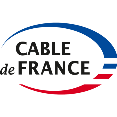 Câbles de Démarrage 35mm² | Pinces 700A Haute Puissance